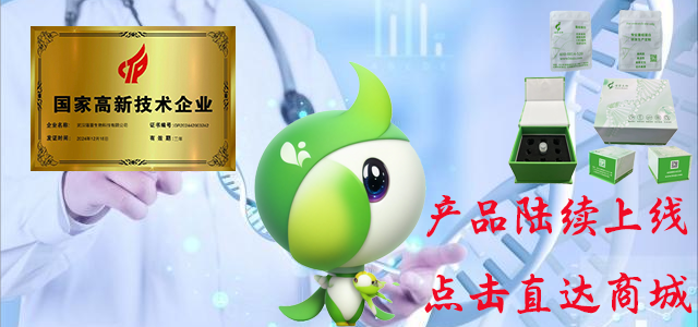Recombinant Protein