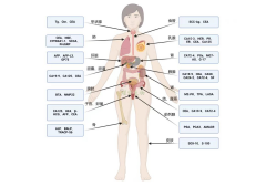 50项肿瘤标志物及其临床意义