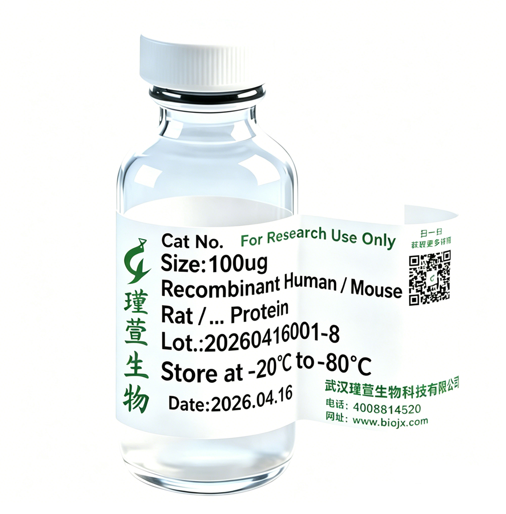 Recombinant Human TULP1 / Tubby Like Protein 1 Protein